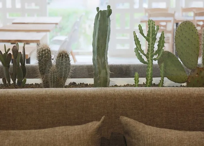 Hm Balanguera - Adults Only 4* Playa de Palma (Mallorca)