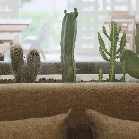 Hm Balanguera - Adults Only 4* Playa de Palma (Mallorca)