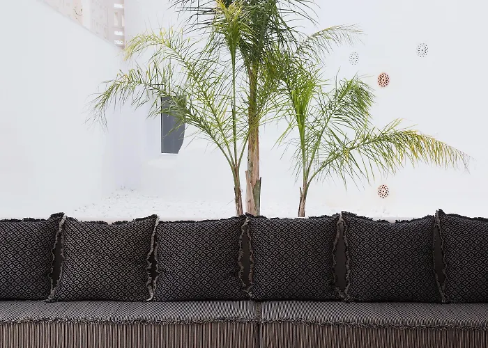 Hm Balanguera - Adults Only